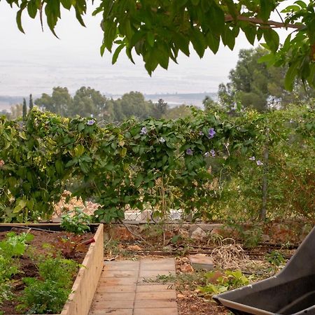 הבית של סתיו Rosh Pina Extérieur photo