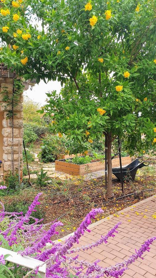 הבית של סתיו Rosh Pina Extérieur photo