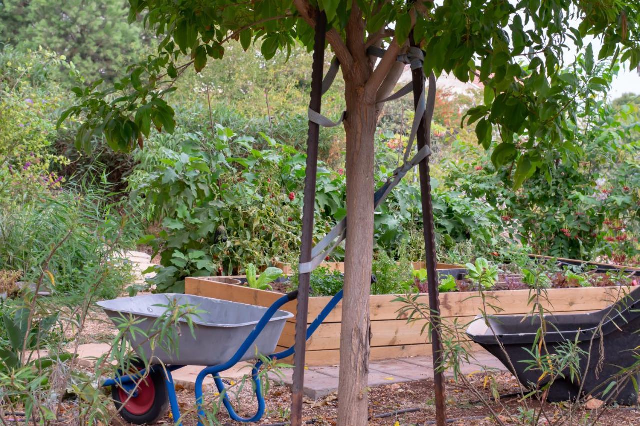הבית של סתיו Rosh Pina Extérieur photo