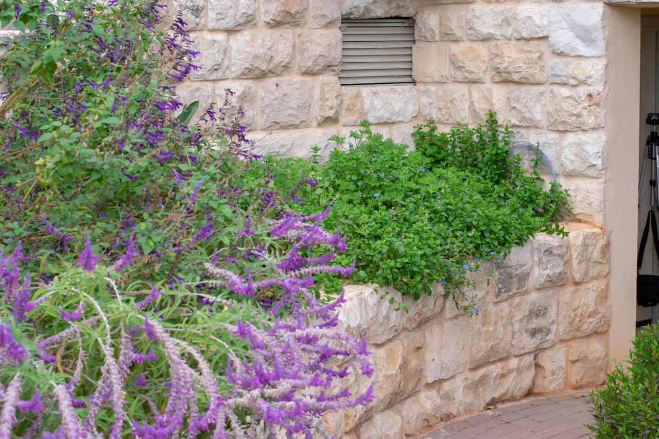 הבית של סתיו Rosh Pina Extérieur photo