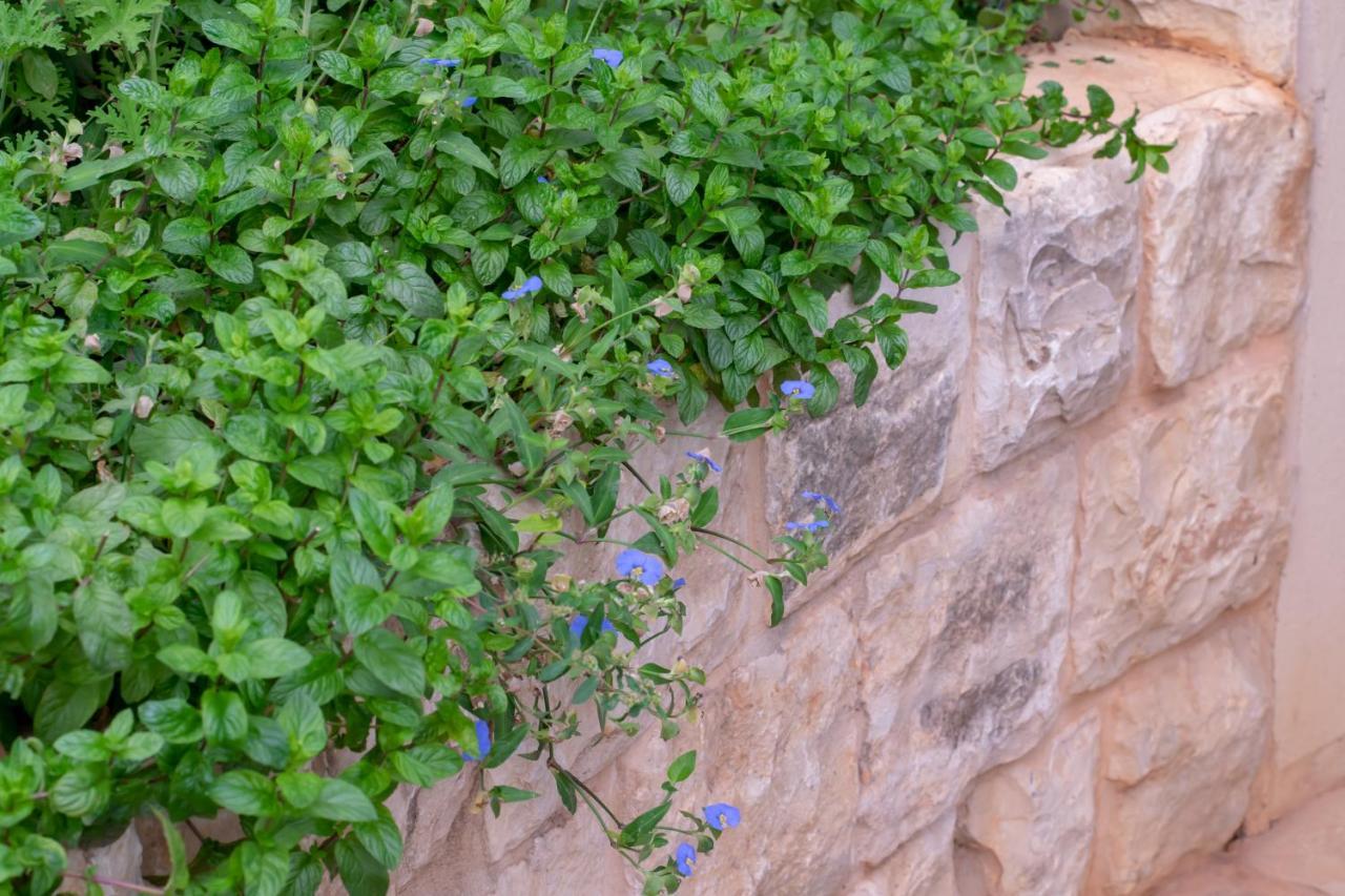 הבית של סתיו Rosh Pina Extérieur photo